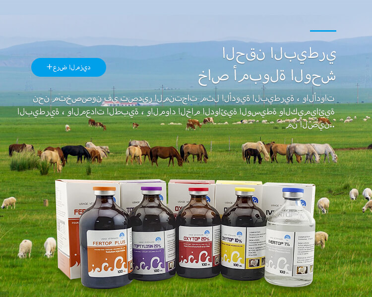 banner_phone2阿拉伯语